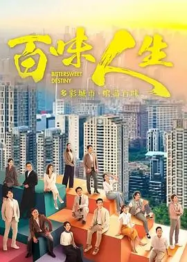 锦绣山河 电视剧海报